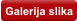 Galerija slika